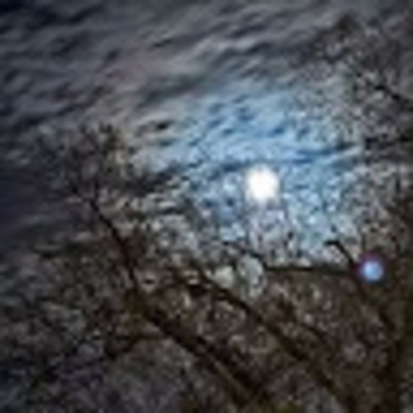 Meet your Posher, Laura - Picture 1 of 1